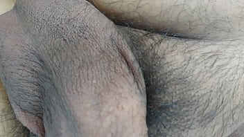 5262019 testiculos en recuperacion