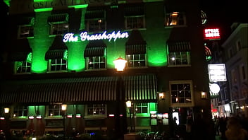 The Grasshopper in the City Center of Amsterdam