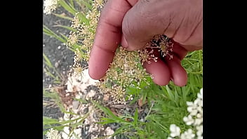 Ladybugs luv him