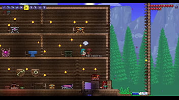 Terraria sex mod