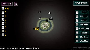 ANOMALY EVOLUTION