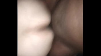 Cougars